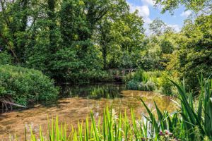 Lake 2- click for photo gallery